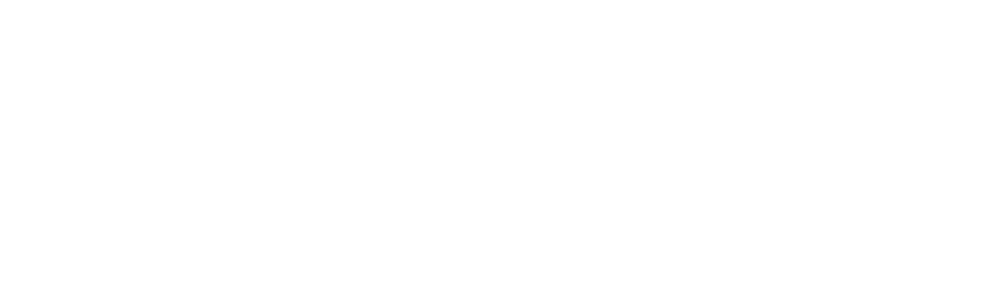 WE WILL HELP YOU GET A DUNS NUMBER FOR YOUR COMPANY WITH 100% GUARANTEE OF THE RESULT!